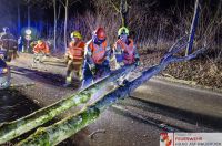 _2020-02-02_Baum über Straße Umfahrung__03